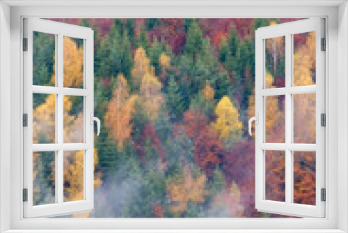 Fototapeta Naklejka Na Ścianę Okno 3D - Vue sur une forêt en automne