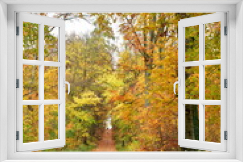 Fototapeta Naklejka Na Ścianę Okno 3D - Autumn Forest Path fall colorfull way road trekking germany odenwald