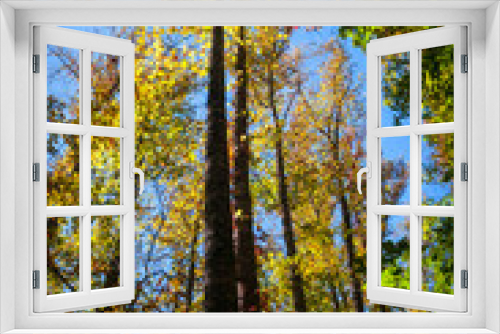 Fototapeta Naklejka Na Ścianę Okno 3D - The Great Smoky Mountains National Park