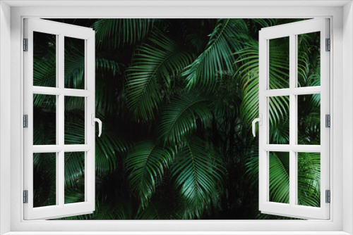 Fototapeta Naklejka Na Ścianę Okno 3D - green palm leaf background texture background