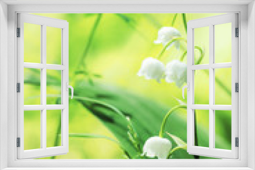 Fototapeta Naklejka Na Ścianę Okno 3D - Lily of the Valley