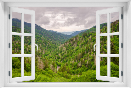 Fototapeta Naklejka Na Ścianę Okno 3D - An Overlook on a Moody Day at the Great Smoky Mountains National Park in North Carolina