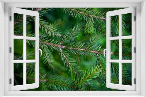 Fototapeta Naklejka Na Ścianę Okno 3D - Winter background with green spruce branches. Close-up. Selective focus.