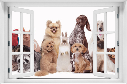 Fototapeta Naklejka Na Ścianę Okno 3D - Collage made with different animals sitting against white background. Fish, turtle, chinchilla, ferret, cat, parrot, rabbit, hamster, raccoon. Concept of animal lifestyle, pet friend, care and love