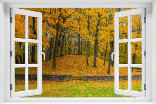 Fototapeta Naklejka Na Ścianę Okno 3D - autumn vibes in the city. Maple trees in yellow colors