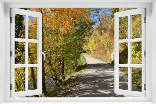 Fototapeta Naklejka Na Ścianę Okno 3D - Jahreszeit Herbst : Bunter Herbstwald mit Waldstrasse / Fussweg / Fahrradweg im Sihltal am Fluss Sihl bei Adliswil, Schweiz