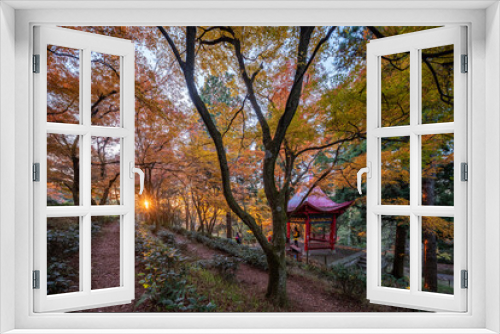 Fototapeta Naklejka Na Ścianę Okno 3D - Autumn maple leaf landscape