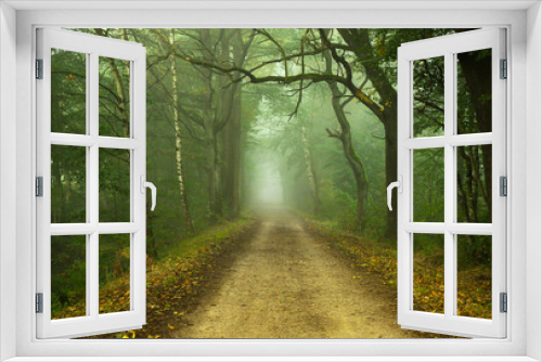 Fototapeta Naklejka Na Ścianę Okno 3D - Jesienny mglisty krajobraz, aleja drzew