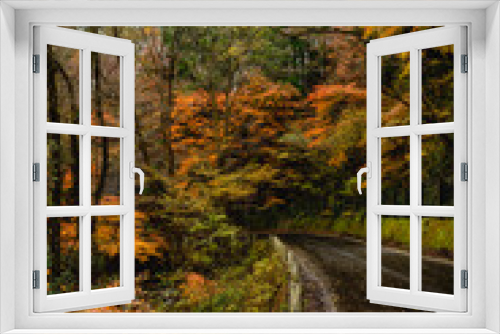 Fototapeta Naklejka Na Ścianę Okno 3D - 茨城県北茨城市　紅葉の花園渓谷