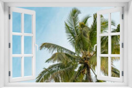 Fototapeta Naklejka Na Ścianę Okno 3D - Coconut tree in blue sky