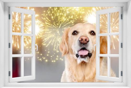 Fototapeta Naklejka Na Ścianę Okno 3D - Cute domestic smart dog with fireworks