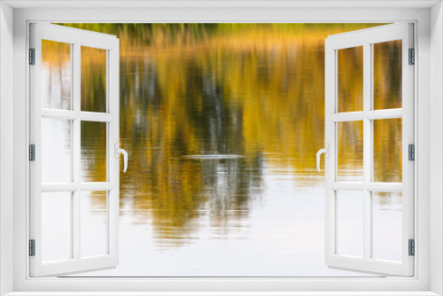 Fototapeta Naklejka Na Ścianę Okno 3D - Tree in autumn reflection of lake water. Background