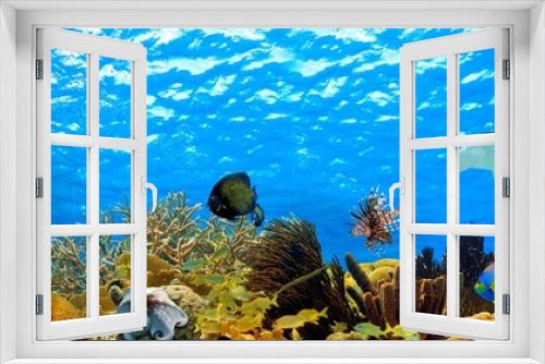 Fototapeta Naklejka Na Ścianę Okno 3D - underwater panorama of a tropical reef in the caribbean