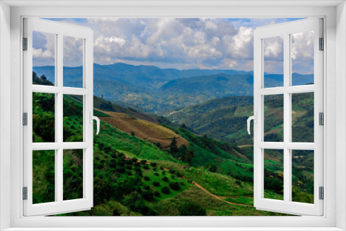 The natural background of the tea plantation and the bright sky surrounding it, the blur of sunlight hitting the leaves and the cool breeze blowing.