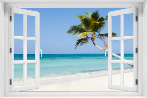 Fototapeta Naklejka Na Ścianę Okno 3D - Palm Tree On Calm Beach