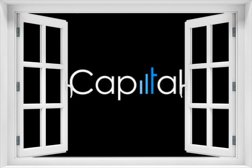 CAPITAL word typography logo