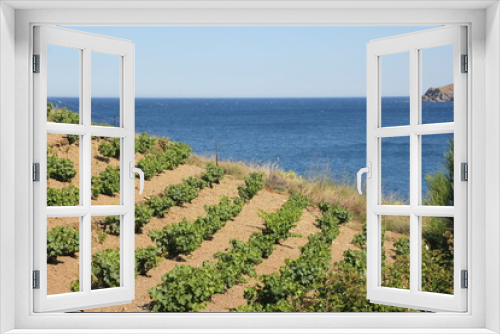 Fototapeta Naklejka Na Ścianę Okno 3D - Vignobles, Banyuls sur mer