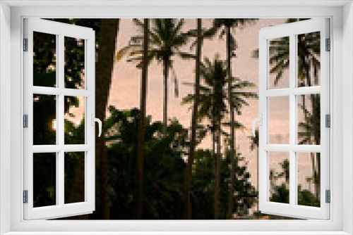 Fototapeta Naklejka Na Ścianę Okno 3D - palm trees at sunset