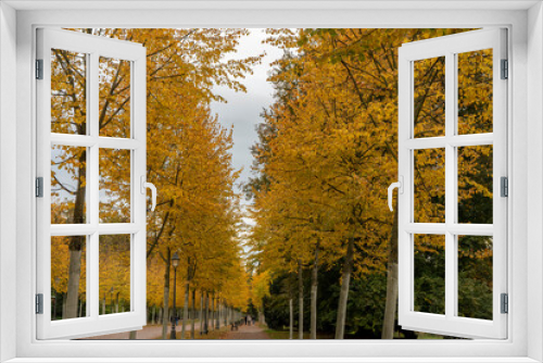 Fototapeta Naklejka Na Ścianę Okno 3D - Le paysage joli en automne avec les couleurs vives