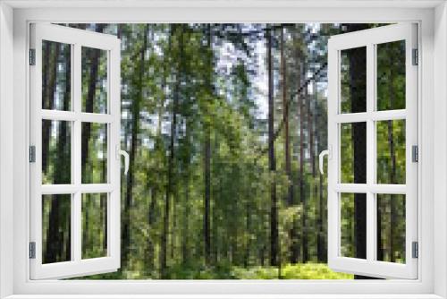 Fototapeta Naklejka Na Ścianę Okno 3D - на природе