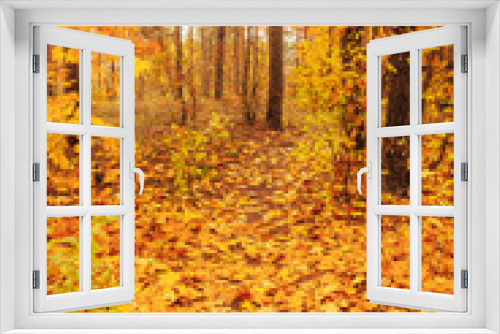 Fototapeta Naklejka Na Ścianę Okno 3D - Colorful Autumn Trees In Forest