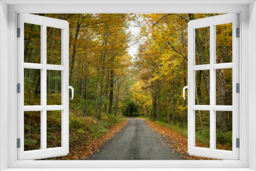 Fototapeta Naklejka Na Ścianę Okno 3D - Autumn Backroads