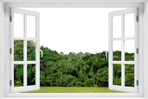 Fototapeta Naklejka Na Ścianę Okno 3D - A group of rich green trees High resolution on transparent background.