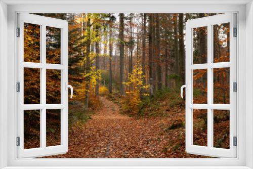 Fototapeta Naklejka Na Ścianę Okno 3D - A path through a colorful autumn forest 