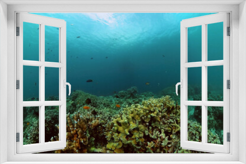 Fototapeta Naklejka Na Ścianę Okno 3D - Underwater world scenery of colorful fish and coral reef.