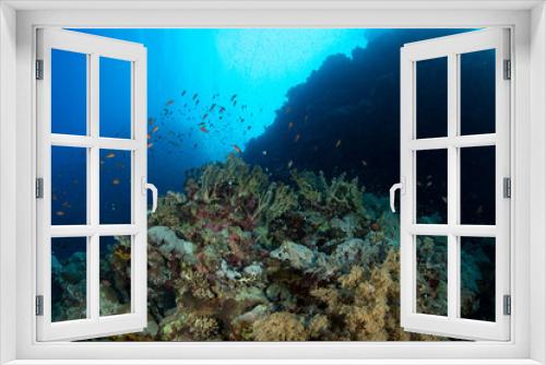 Fototapeta Naklejka Na Ścianę Okno 3D - A view over the coral reef covered by multiple soft corals, St John´s Reef, Red Sea, Egypt 