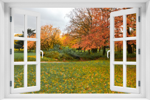 Fototapeta Naklejka Na Ścianę Okno 3D - Autumn Landscape.