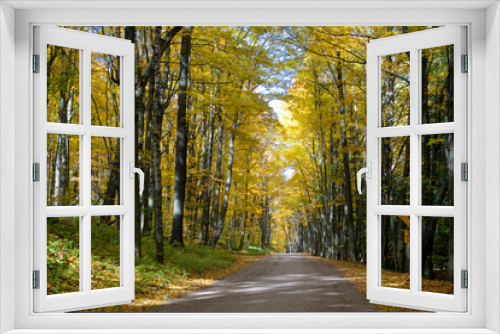Fototapeta Naklejka Na Ścianę Okno 3D - Tranquility scene of a country road in autumn with a road sign