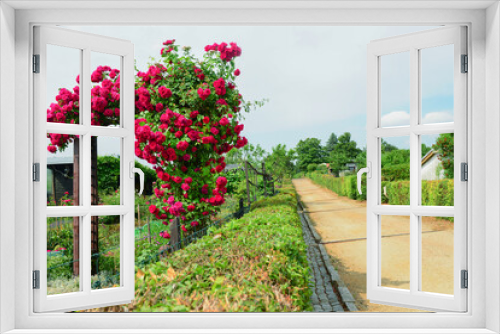 Fototapeta Naklejka Na Ścianę Okno 3D - View of village with red roses on fence