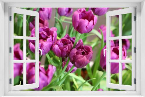 Fototapeta Naklejka Na Ścianę Okno 3D - Field of Colorful Beautiful Bouquet  of Tulip Flower in Garden for Postcard Decoration and Agriculture Concept Design with Selective Focus.