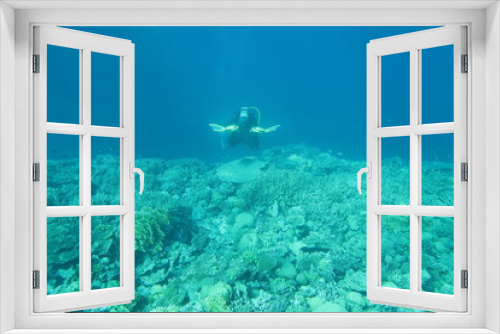 Fototapeta Naklejka Na Ścianę Okno 3D - Scuba divers at a coral reef in the Red Sea in Egypt