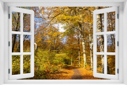 Fototapeta Naklejka Na Ścianę Okno 3D - Herbst