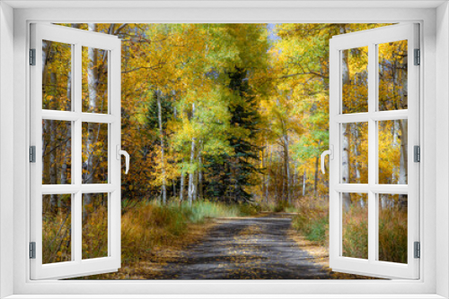 Fototapeta Naklejka Na Ścianę Okno 3D - Colorado Fall Colors