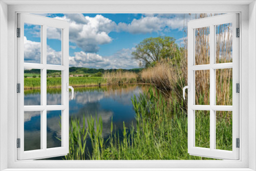 Fototapeta Naklejka Na Ścianę Okno 3D - Der Lautensee im Naturschutzgebiet Mainaue bei Augsfeld, Stadt Haßfurt, Landkreis Hassberge, Unterfranken, Franken, Bayern, Deutschland