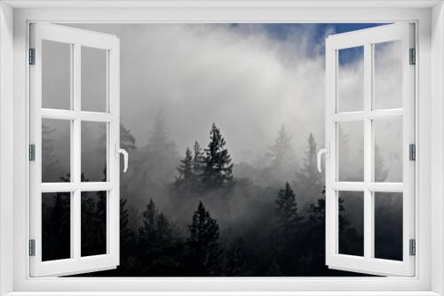 Fototapeta Naklejka Na Ścianę Okno 3D - Fog shrouds conifer forest Along Highway 101 around Garberville, California