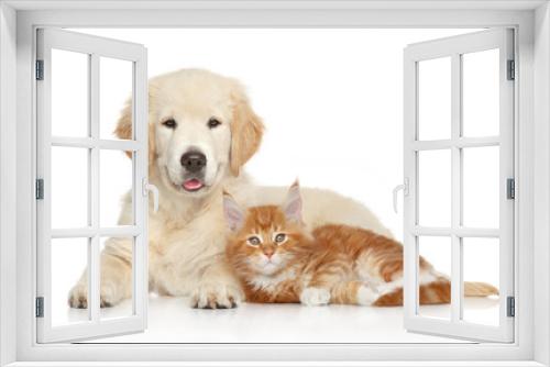 Fototapeta Naklejka Na Ścianę Okno 3D - Golden Retriever puppy and ginger kitten