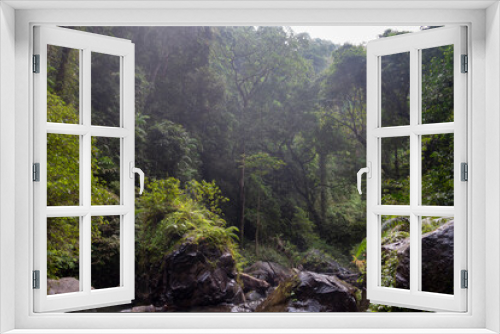 Fototapeta Naklejka Na Ścianę Okno 3D - View of the tropical jungle on Lombok island, Indonesia after a monsoon rainfall