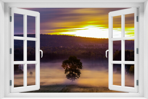 Fototapeta Naklejka Na Ścianę Okno 3D - foggy sunrise