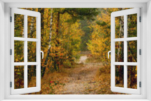Fototapeta Naklejka Na Ścianę Okno 3D - Old park. The trees are painted in autumn colors. Beauty of nature. Hiking. Walks in the open air.