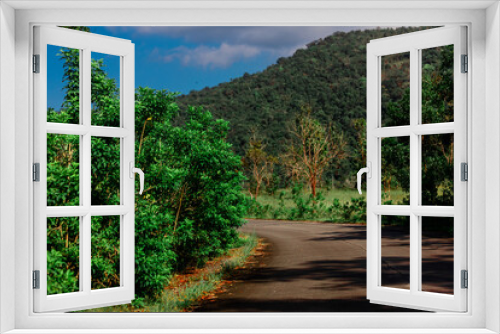 Fototapeta Naklejka Na Ścianę Okno 3D - The view of the natural background of the mountain close-up, with blurred fog scattered in the rainy season or the humid climate, with beautiful green trees in the ecological system