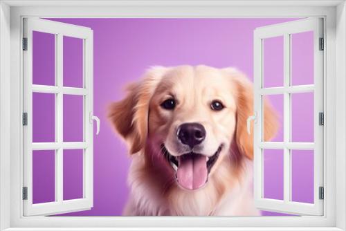 Fototapeta Naklejka Na Ścianę Okno 3D - A close-up portrait of a golden retriever puppy on a purple background