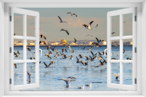 Fototapeta Naklejka Na Ścianę Okno 3D - Flock of Birds Flying over Sea