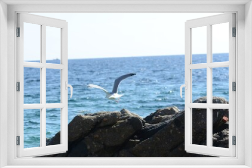 Fototapeta Naklejka Na Ścianę Okno 3D - Detalles de la naturaleza. Mar y montaña.