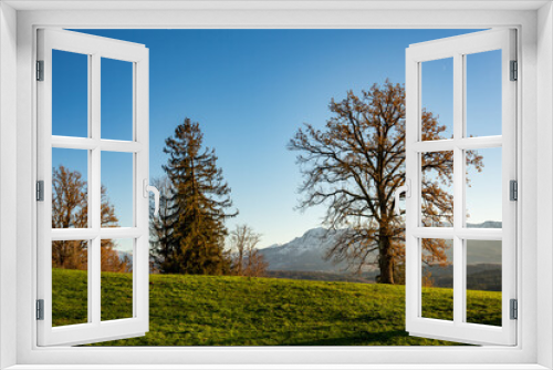 Fototapeta Naklejka Na Ścianę Okno 3D - Baum auf Wiese in Berglandschaft