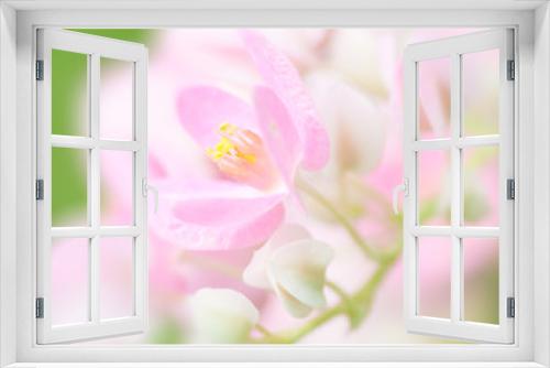 Fototapeta Naklejka Na Ścianę Okno 3D - Sweet color flower in soft and blurred for background