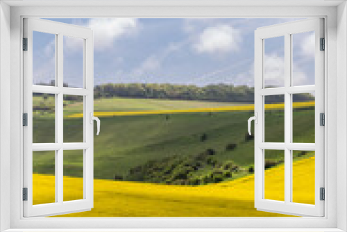Fototapeta Naklejka Na Ścianę Okno 3D - Rapeseed crops growing in the South Downs, on a sunny spring day